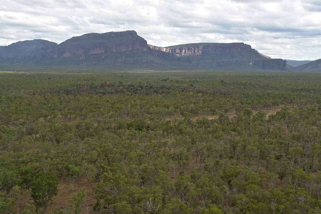 View to Mount Mulligan