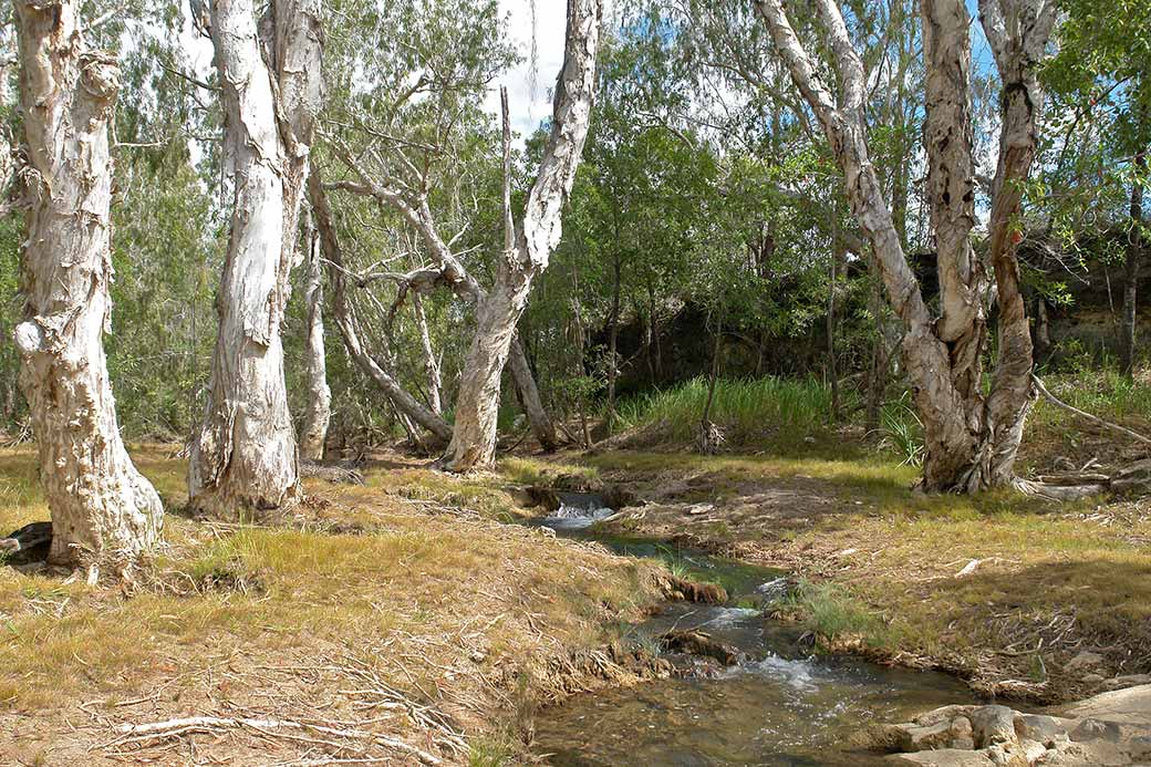 Chillagoe Creek