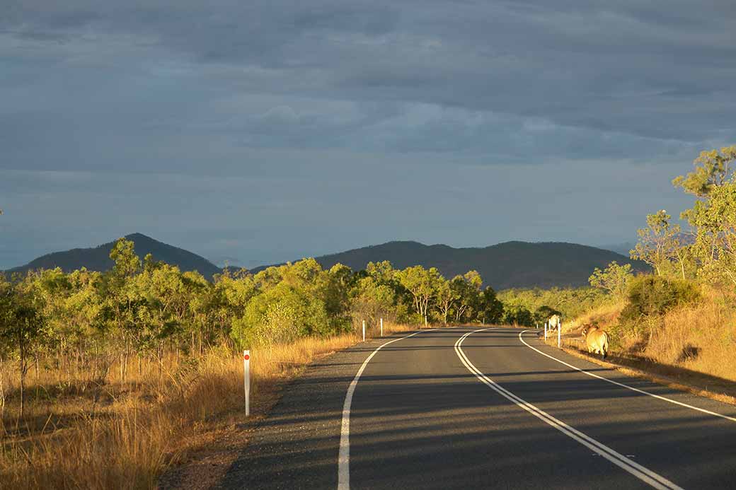 Burke Developmental Road