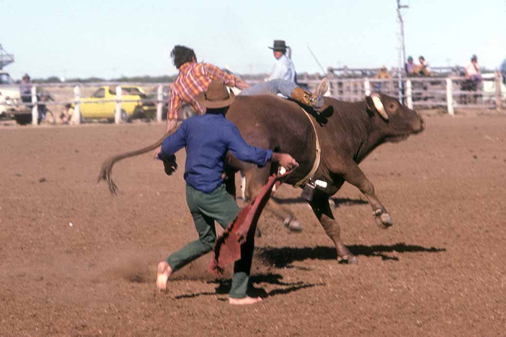 Bullriding