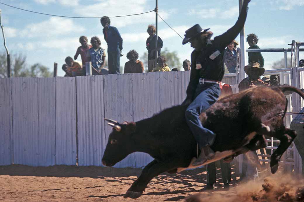 Riding the bull