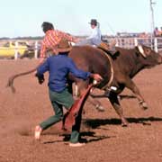 Bullriding