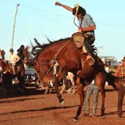 Riding a bucking horse