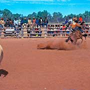 Rodeo at Seven Mile