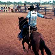 Showing horsemanship