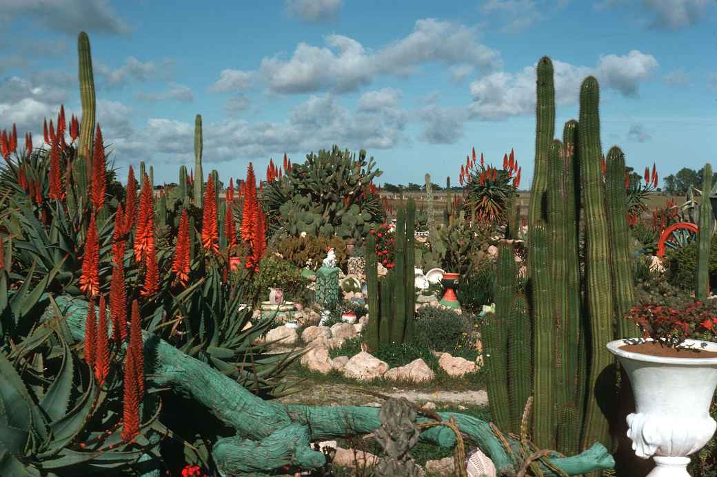 Rock garden near Adelaide