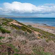 Beach, Aldinga Beach