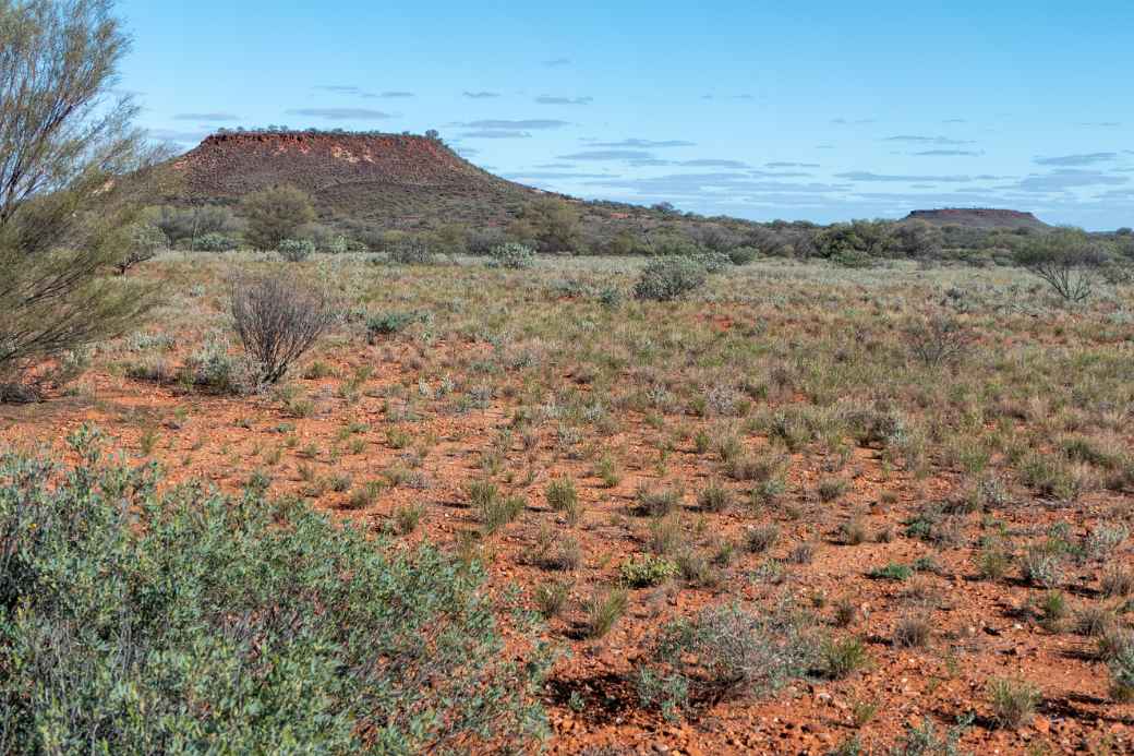 Mesas along the Stuart Highway