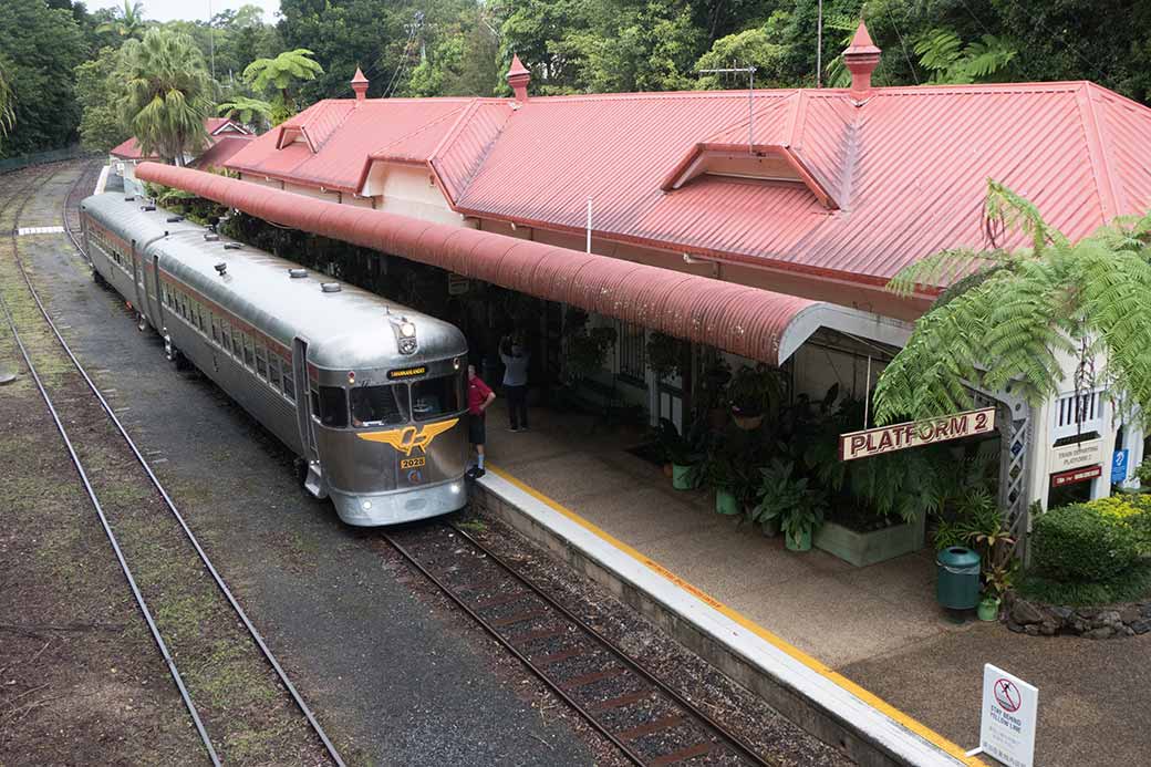 Savannahlander, Kuranda