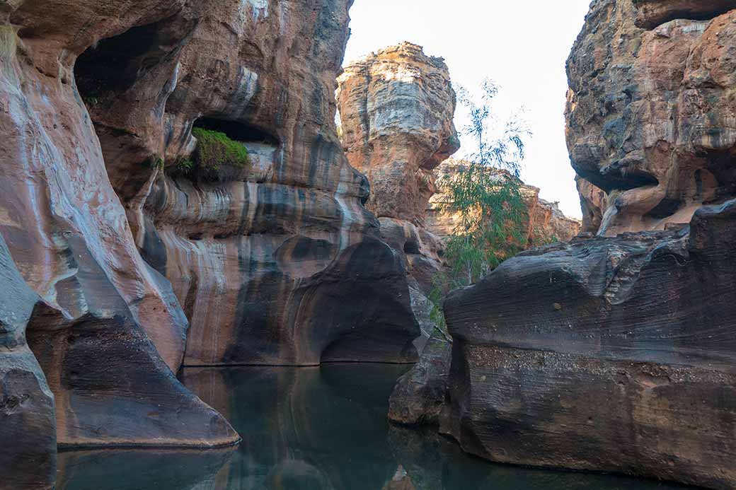 Cruise in Cobbold Gorge