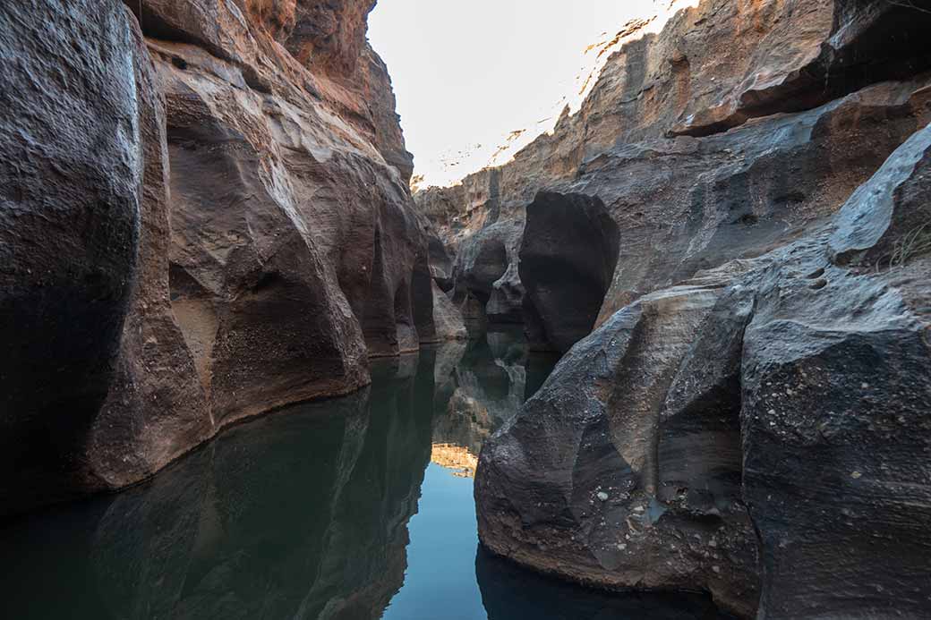 Cruise in Cobbold Gorge