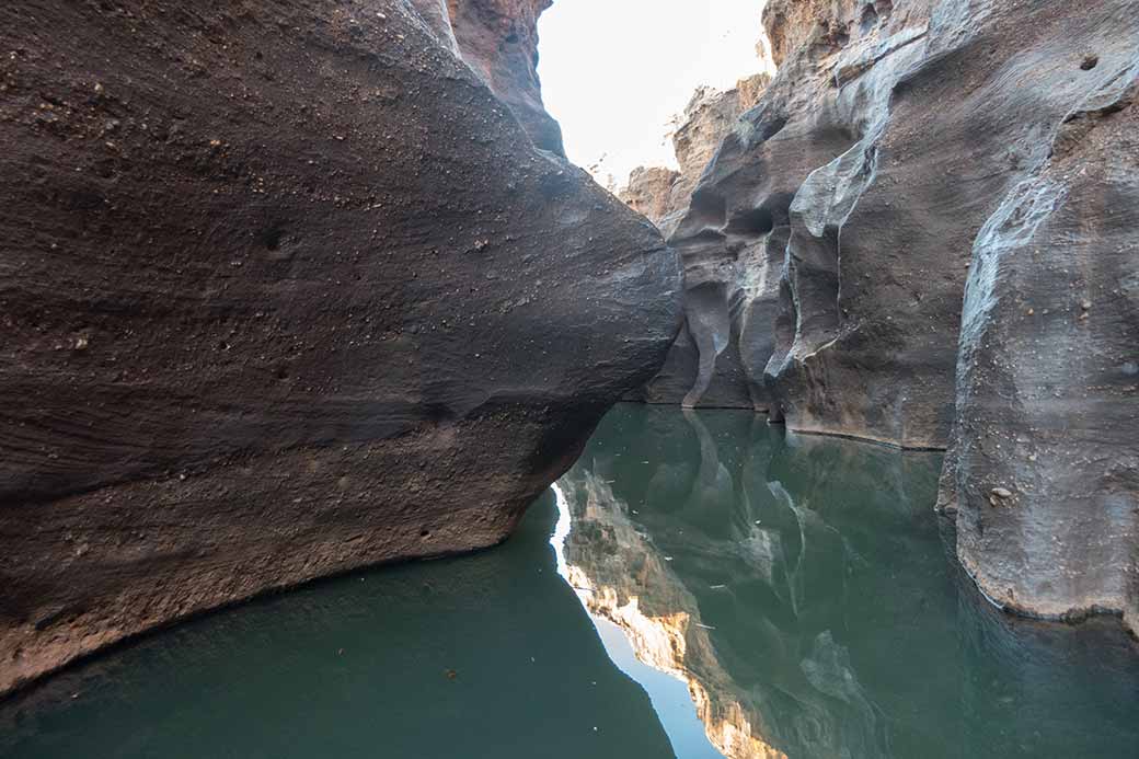 Cruise in Cobbold Gorge