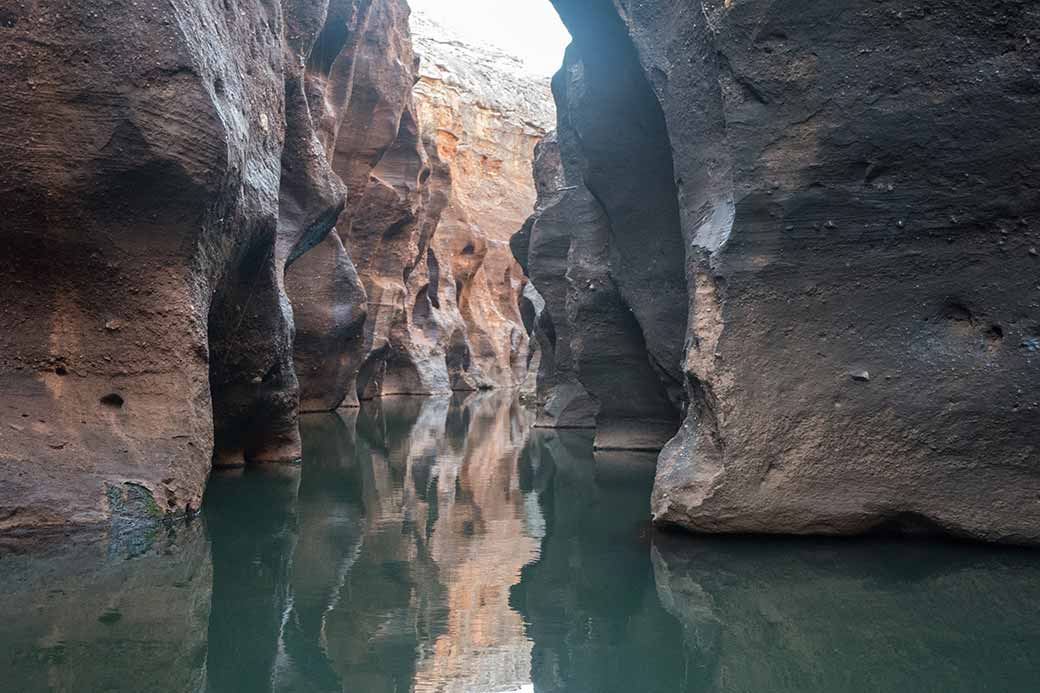 Cruise in Cobbold Gorge