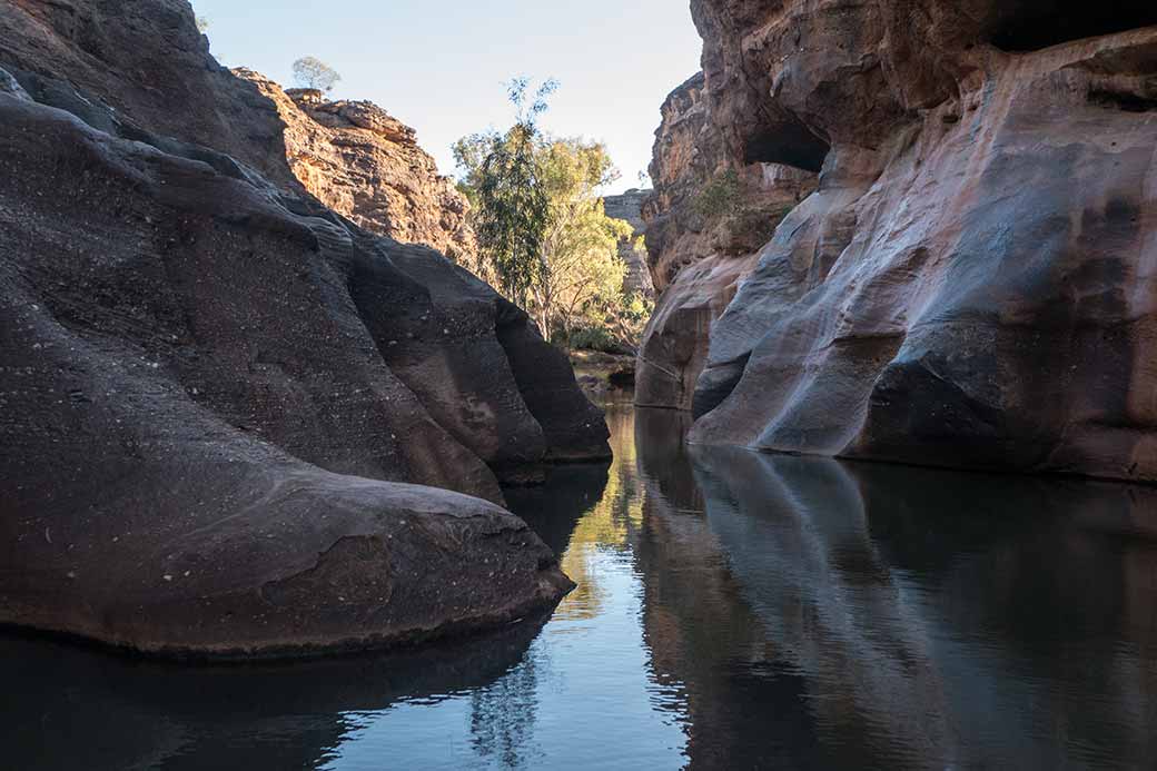 Cruise in Cobbold Gorge