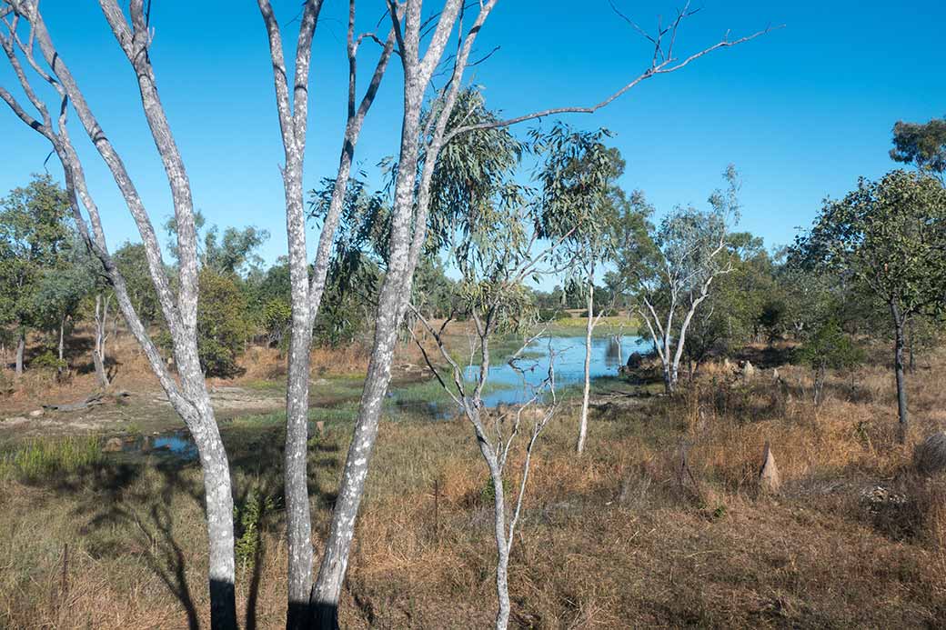 Creek, Lynd River