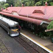 Savannahlander, Kuranda