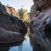 Cruise in Cobbold Gorge