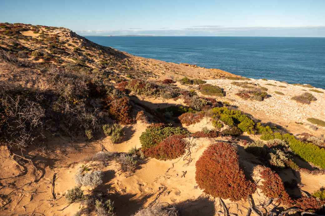 View of the west coast