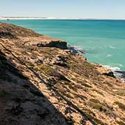 View, Nullarbor