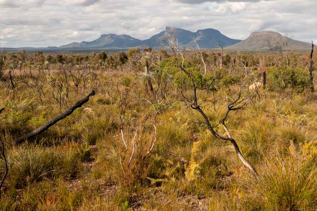 View towards Bluff Knoll