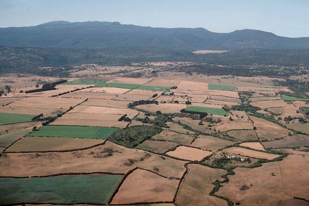 Fields near Launceston