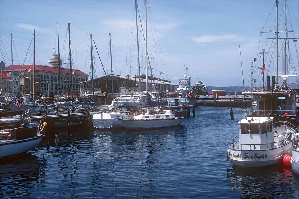 Constitution Dock