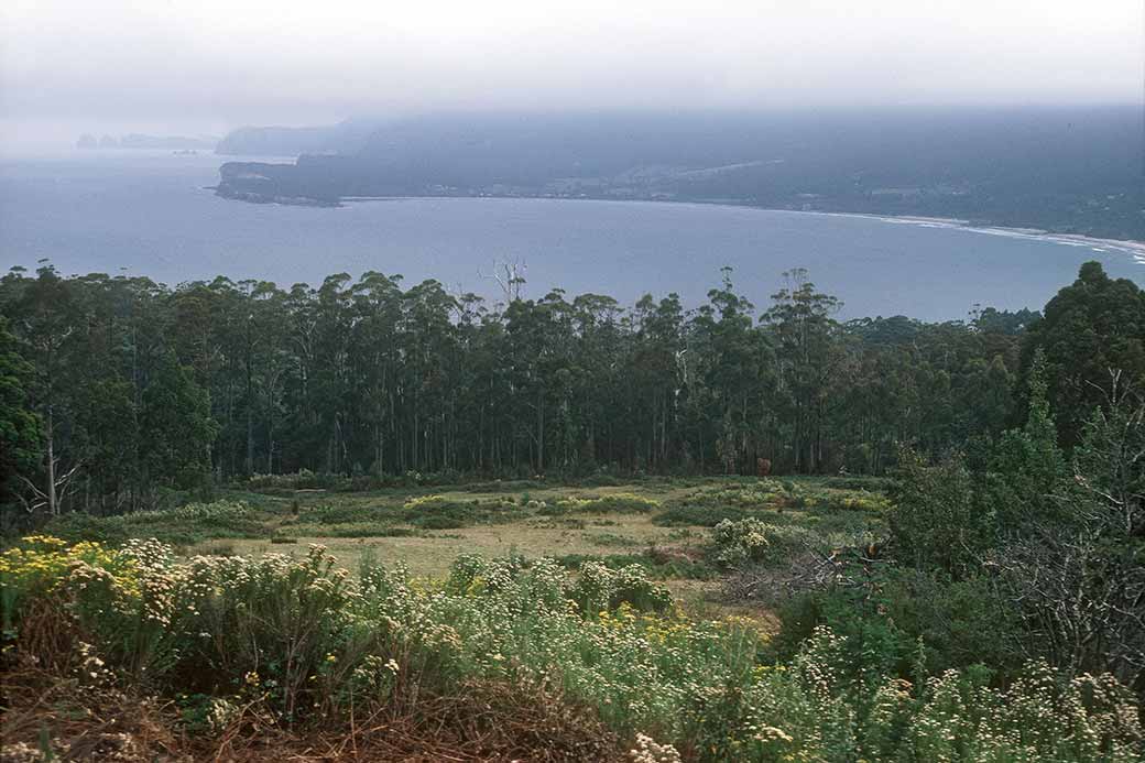 Forestier Peninsula coast