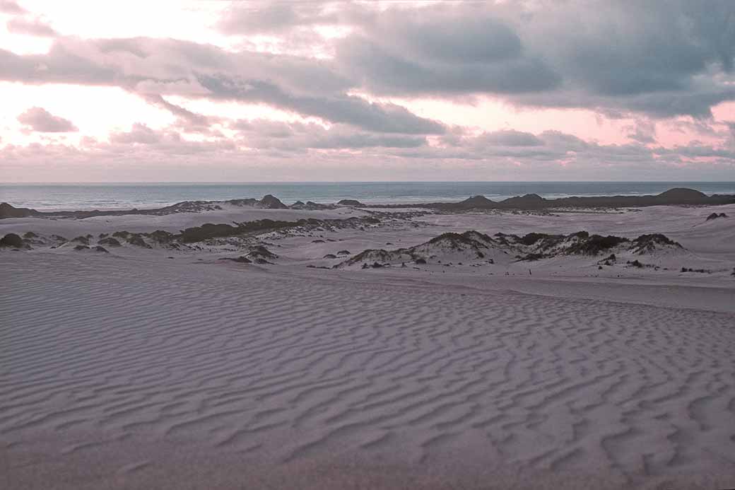 Henty Dunes