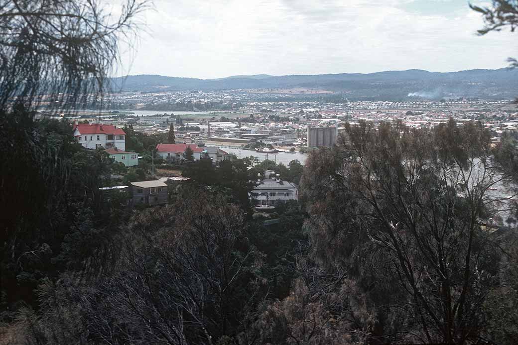 Tamar River view