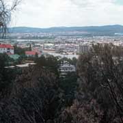 Tamar River view