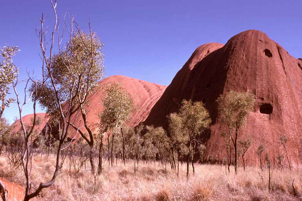 View of Uluru