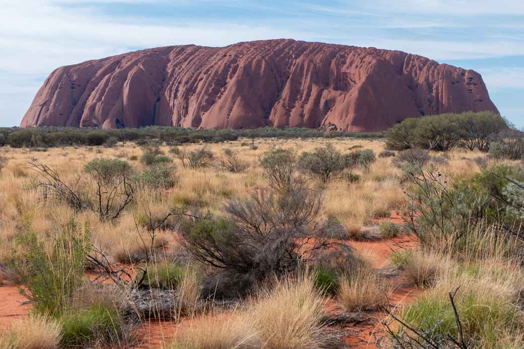 View to Uluru (Ayers Rock)