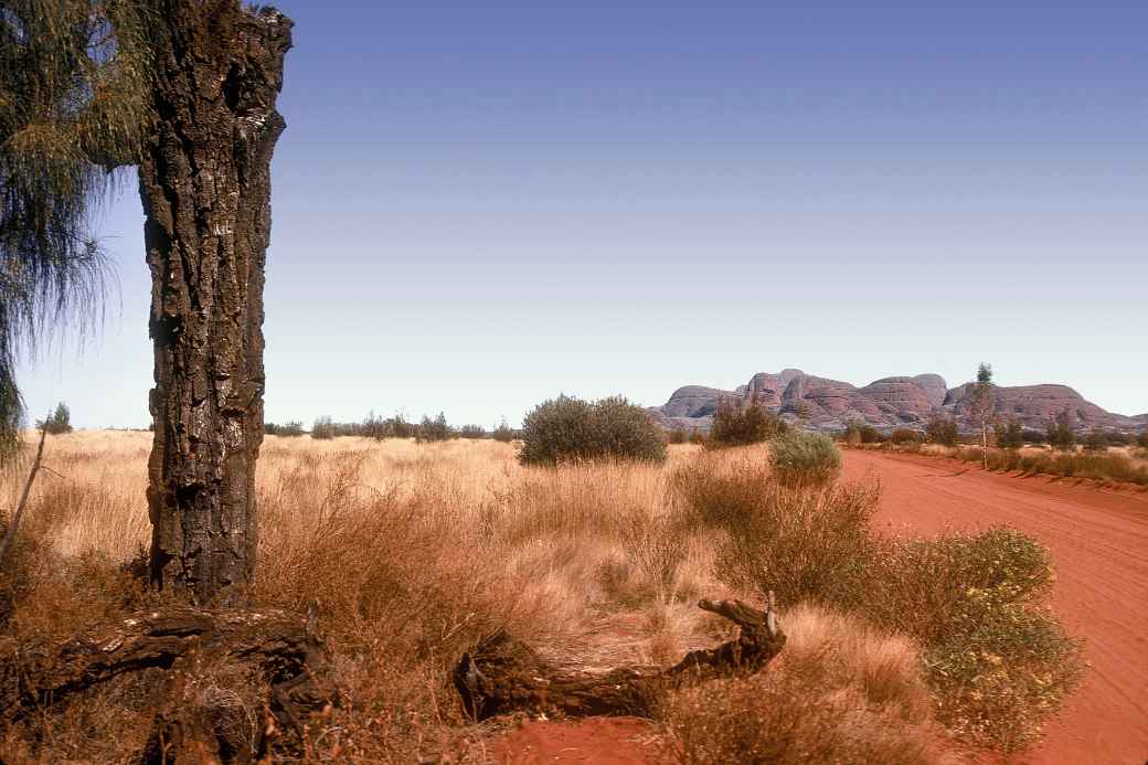 Road to Kata Tjuta