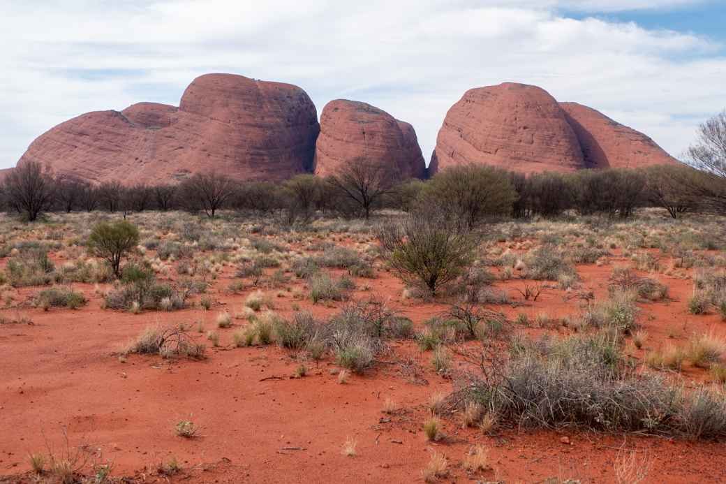 View to the Olgas (Kata Tjuta)