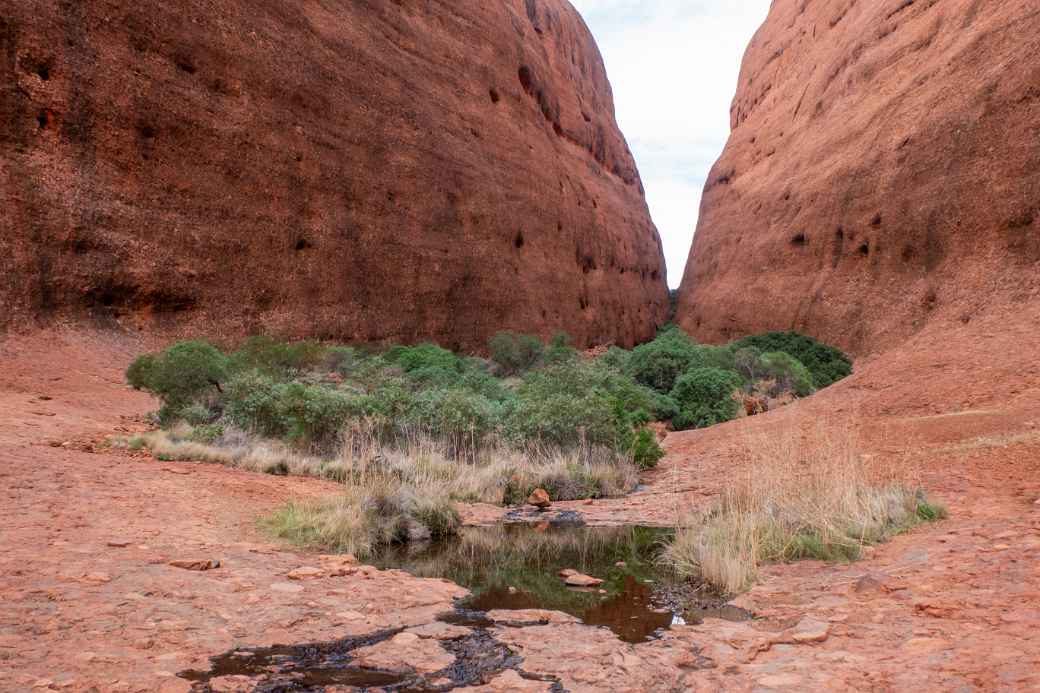 In Walpa Gorge