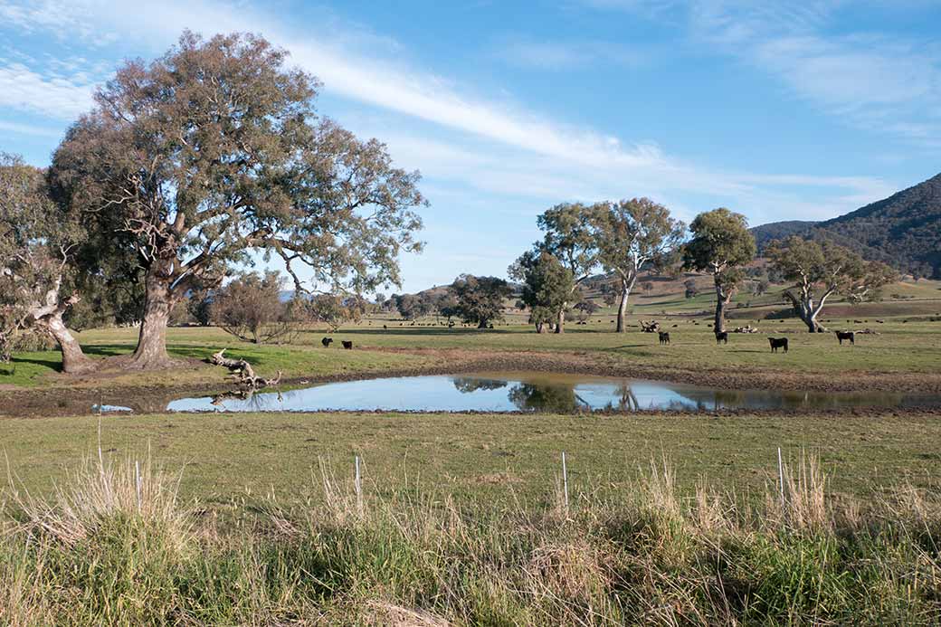 View, Murray Valley Highway