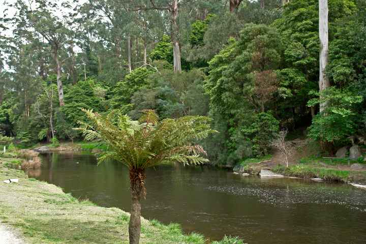 Yarra River, Warburton