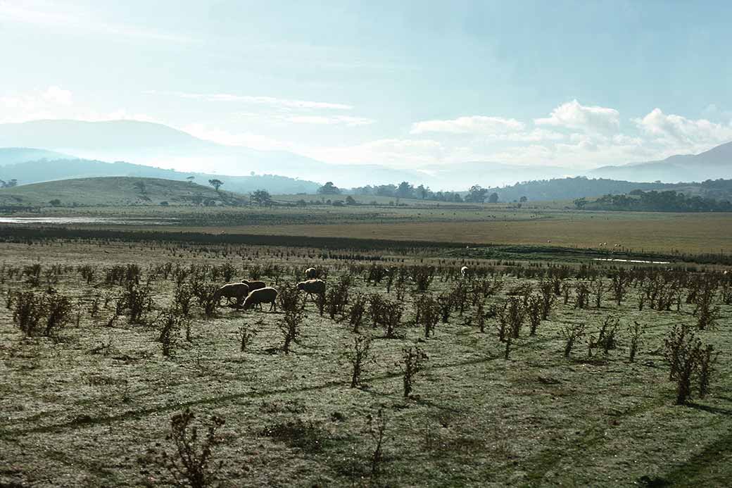 Between Lilydale and Healesville