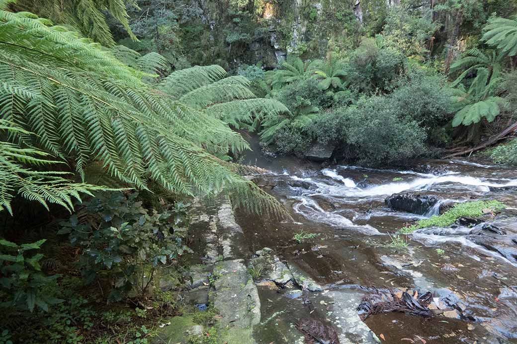 Tarra Falls