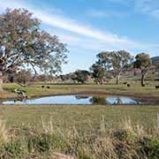 View, Murray Valley Highway