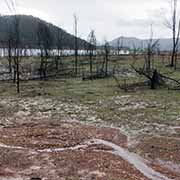 Stockyard Bay, Lake Eildon