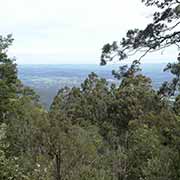 Mt Donna Buang