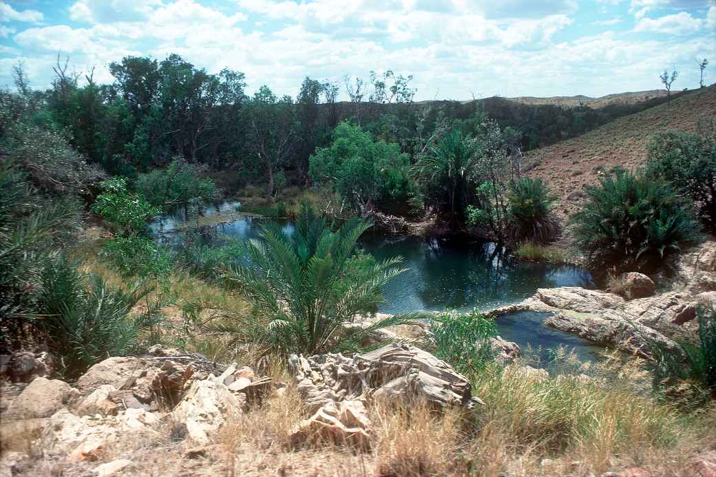 Waterhole, Palm Valley