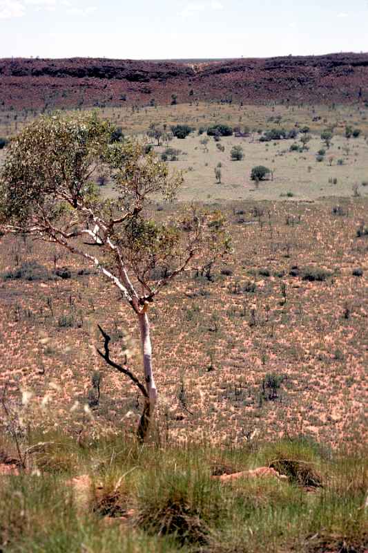 Wolfe Creek Crater