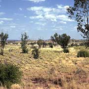 Landscape west of Nicholson