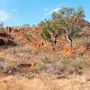 Near Halls Creek