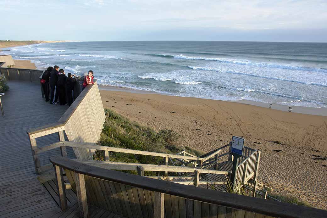 Whale watching platform