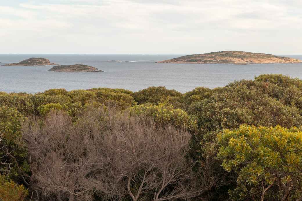 Islands west of Esperance