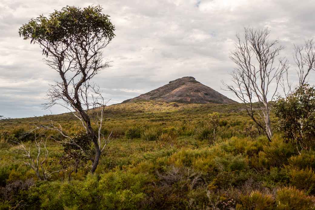 View to Frenchman Peak