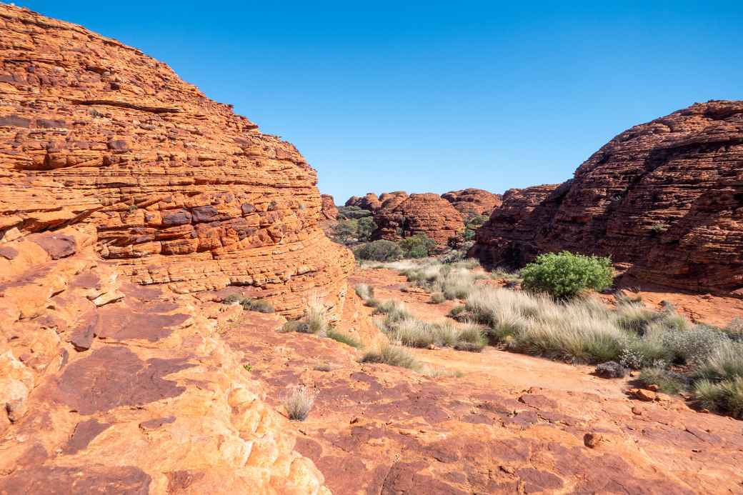 The Lost City, Kings Canyon